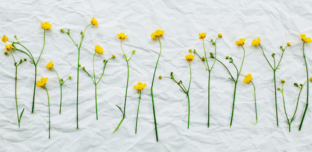 6 B2B Content Marketing Trends To Watch In 2021