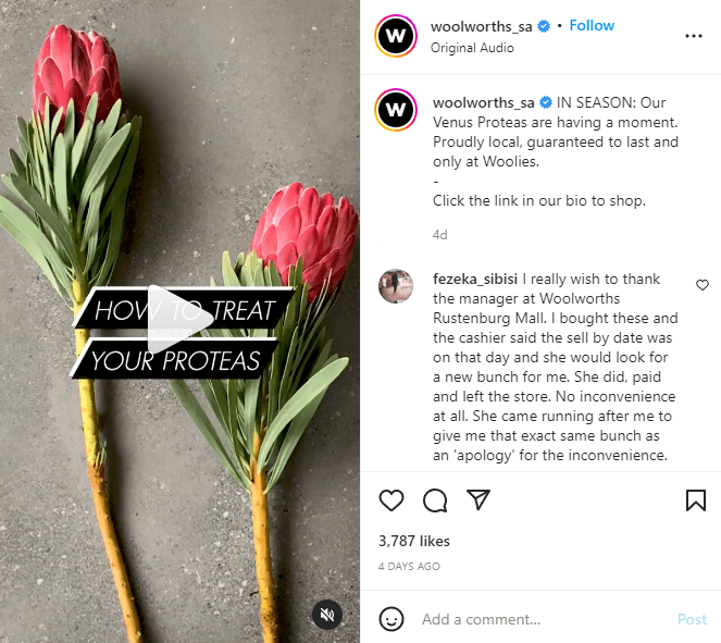 Woolworths South Africa