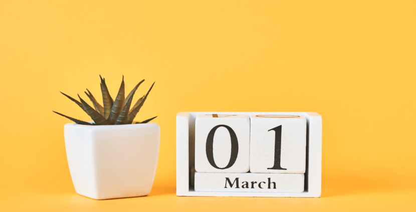 Why Scheduling Social Media Posts is a Must for Brands