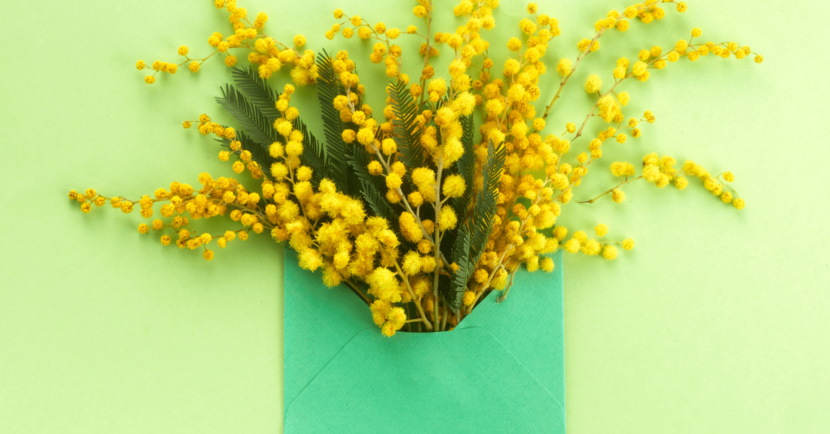 From Boring to Brilliant - How to Create Emails That Your Subscribers Can't Resist